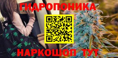 МДМА Новозыбков